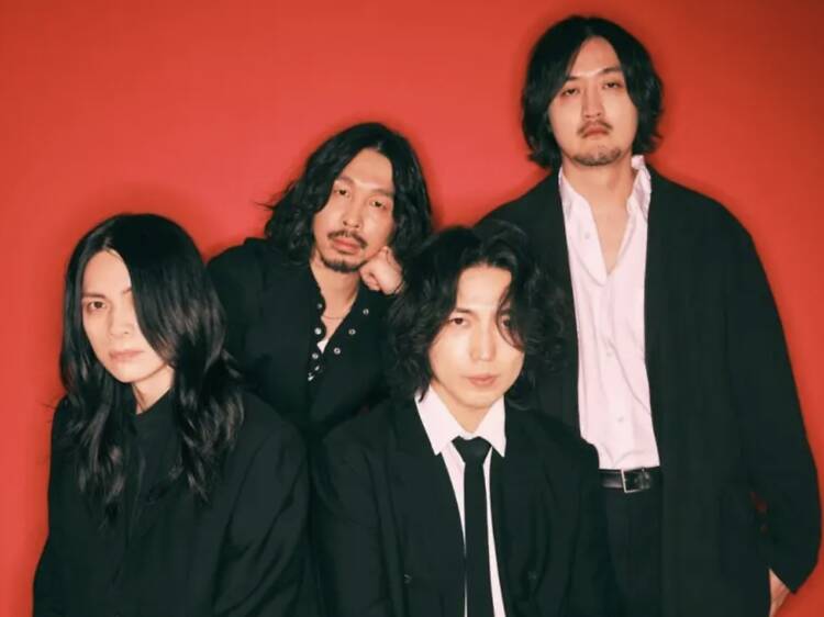 The Novembers