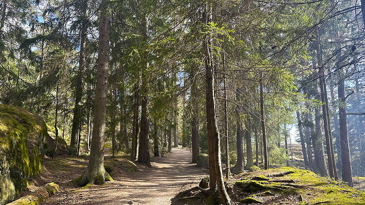 Vaella metsästä merenrantaan Uutelan ulkoilualueella Vaella metsästä merenrantaan Uutelan ulkoilualueella