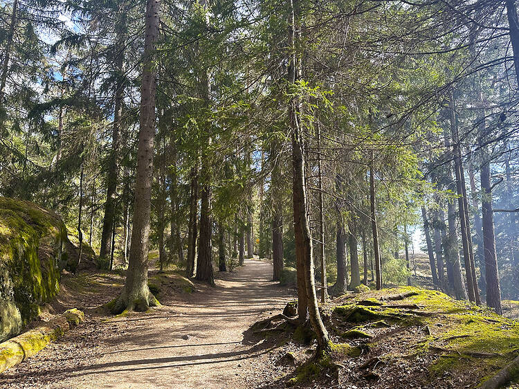 Vaella metsästä merenrantaan Uutelan ulkoilualueella Vaella metsästä merenrantaan Uutelan ulkoilualueella
