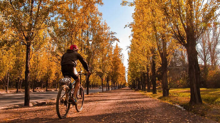 Not Realizing How Much Mendoza Changes with the Seasons Not Realizing How Much Mendoza Changes with the Seasons
