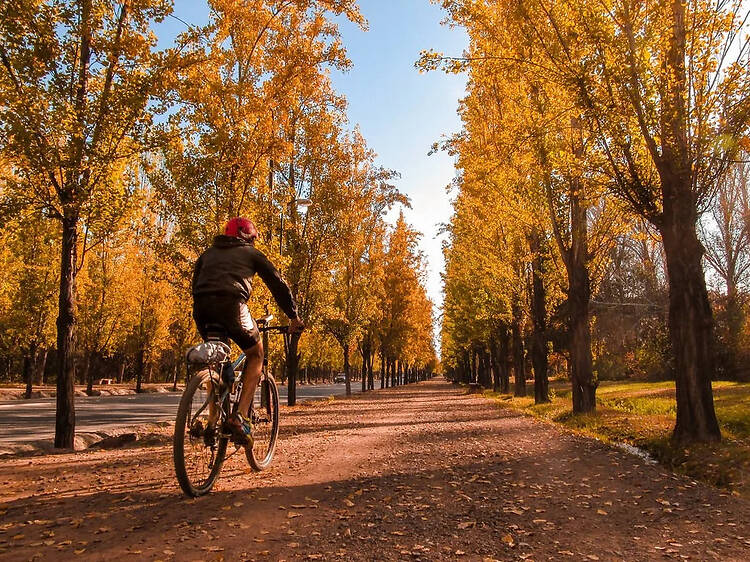 Not Realizing How Much Mendoza Changes with the Seasons Not Realizing How Much Mendoza Changes with the Seasons