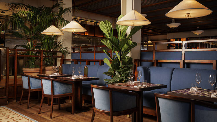 Maza, Mayfair