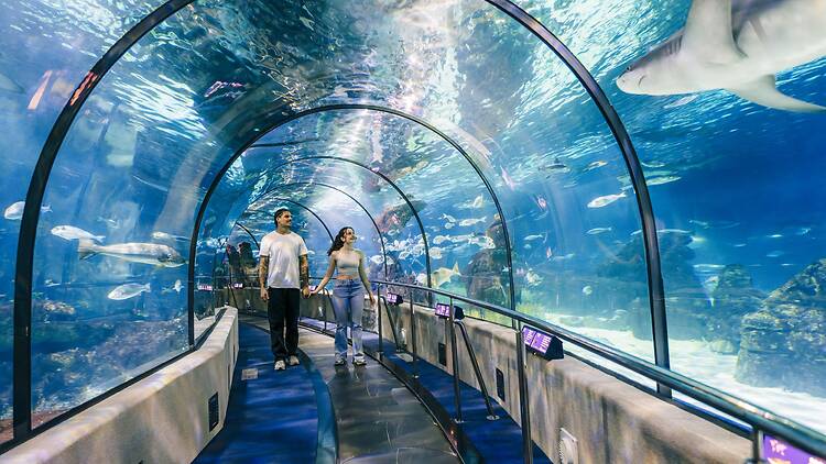 L'Aquà rium: One of Barcelona’s Best Family Plans for Summer L'Aquà rium: One of Barcelona’s Best Family Plans for Summer