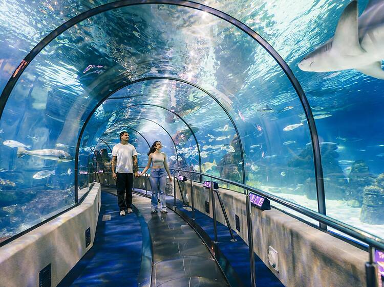 L'Aquà rium: One of Barcelona’s Best Family Plans for Summer L'Aquà rium: One of Barcelona’s Best Family Plans for Summer