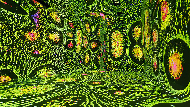 Dataland