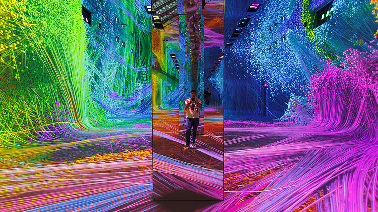 Dataland Dataland