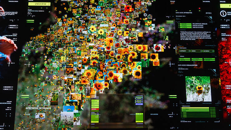 Dataland