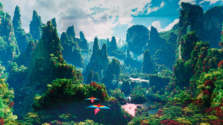 Dataland