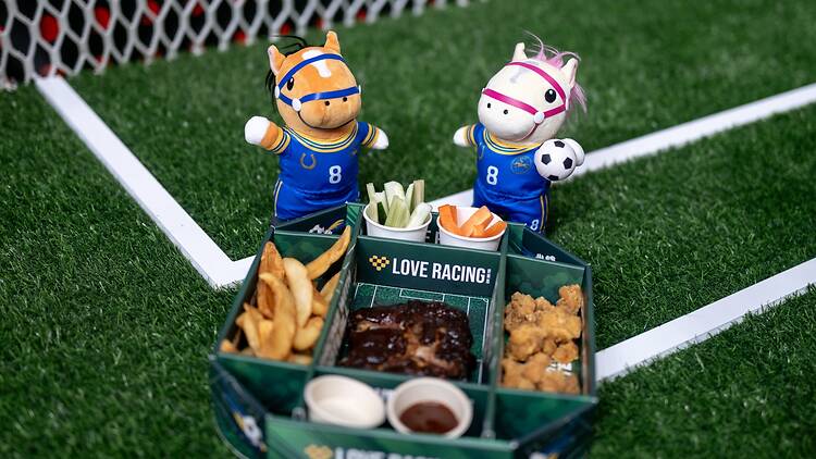 Racing with Football, The Hong Kong Jockey Club Racing with Football, The Hong Kong Jockey Club