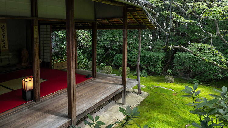 Kyoto Moss Tour Kyoto Moss Tour