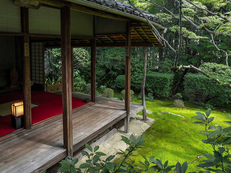 Kyoto Moss Tour Kyoto Moss Tour