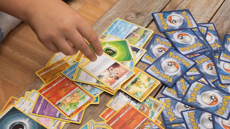collectinsure collectinsure