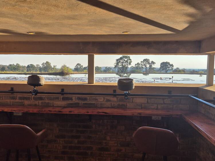 Review: Mhondoro Safari Lodge & Villa