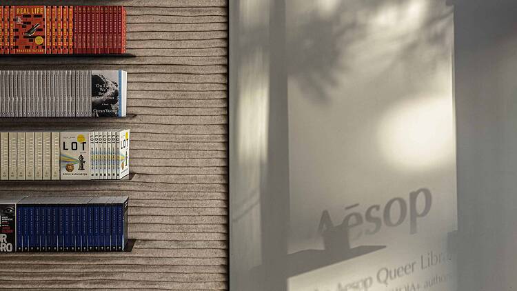 Aesop Queer Library Aesop Queer Library