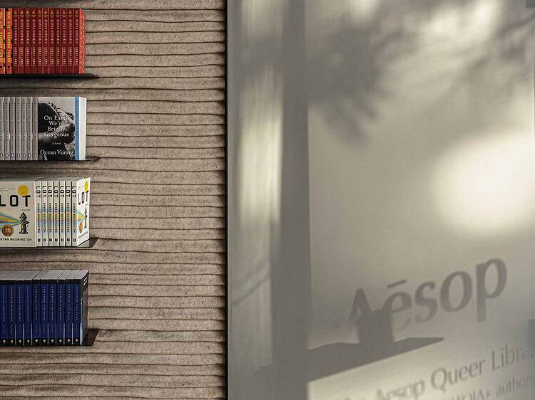 Aesop Queer Library Aesop Queer Library