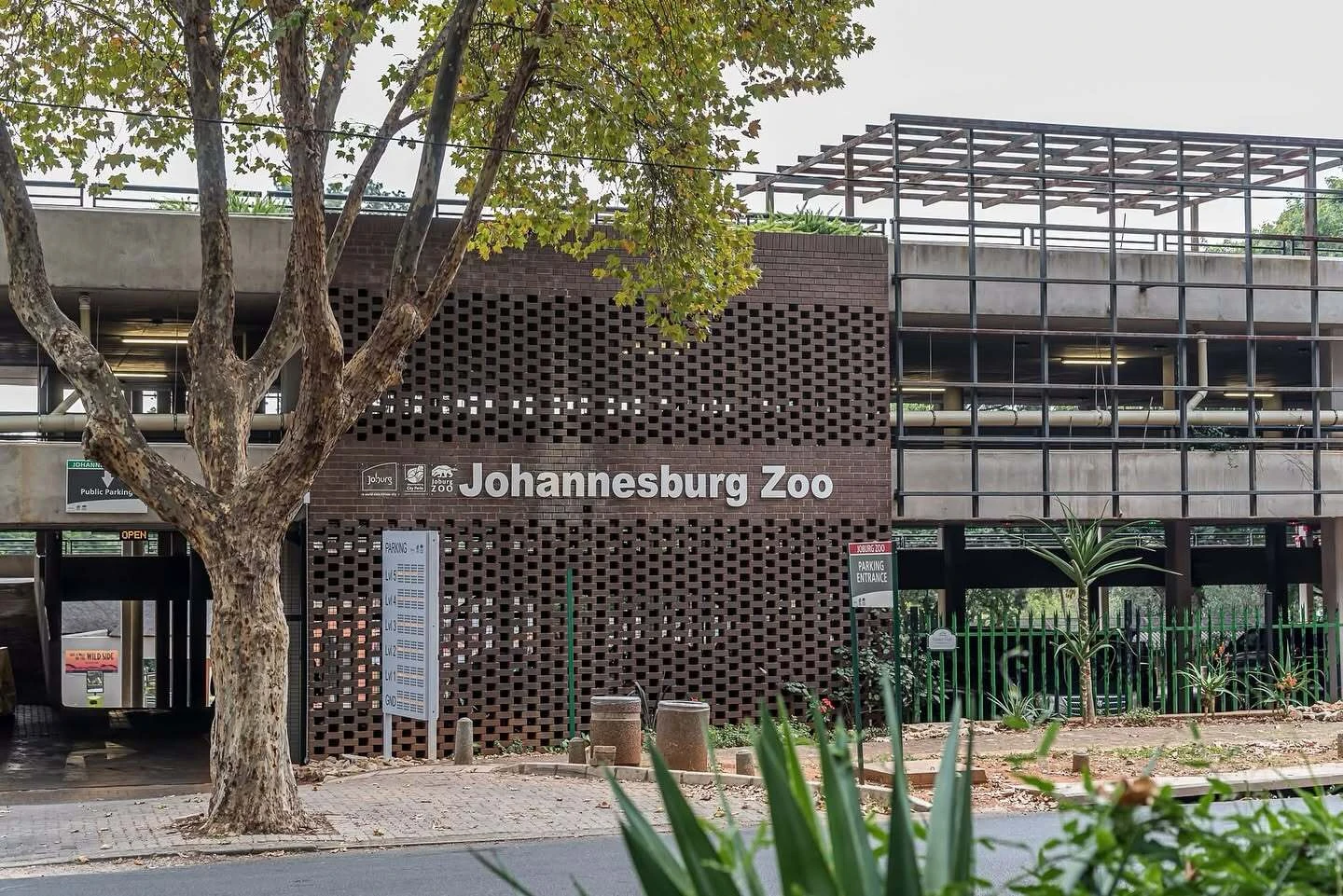 Joburg Zoo