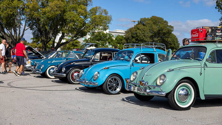 Wild About Cars! at Jungle Island Wild About Cars! at Jungle Island