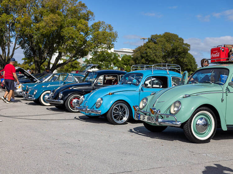 Wild About Cars! at Jungle Island Wild About Cars! at Jungle Island