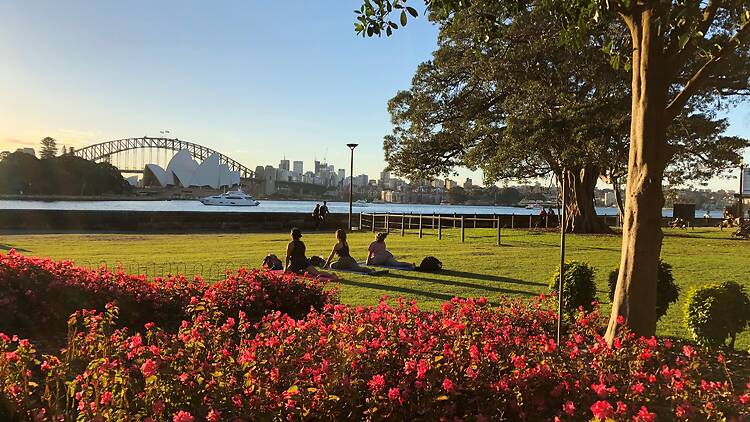 Royal Botanic Garden Sydney A sunny park view of the bridge and opera house