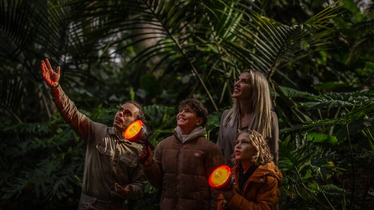 Royal Botanic Garden Sydney A family in a park with night lights looking at flora and fauna