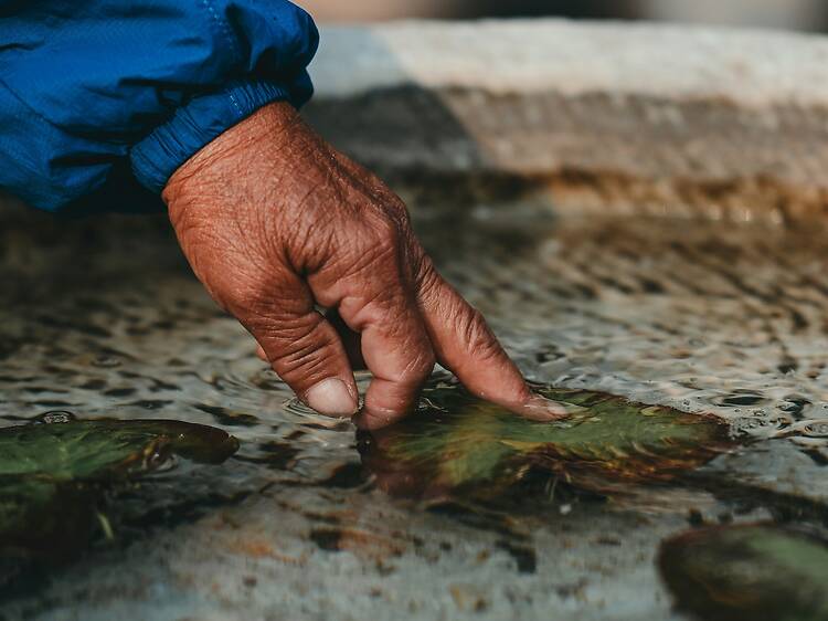 Learn au naturale crafting and eco-friendly techniques this weekend