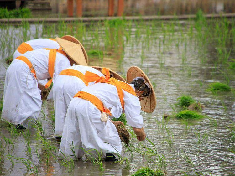 19 best things to do in and near Osaka this weekend: June 12–14