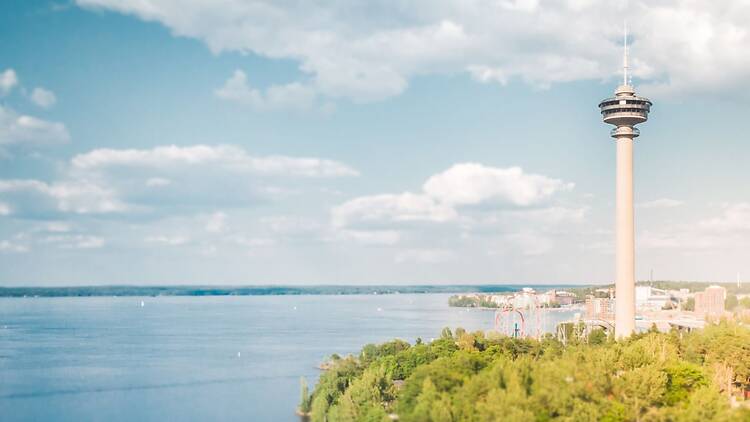 Näsinneula Näsinneula