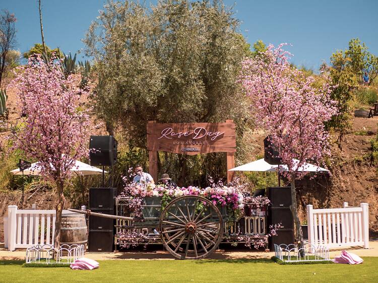 La Vie en Rosé Day