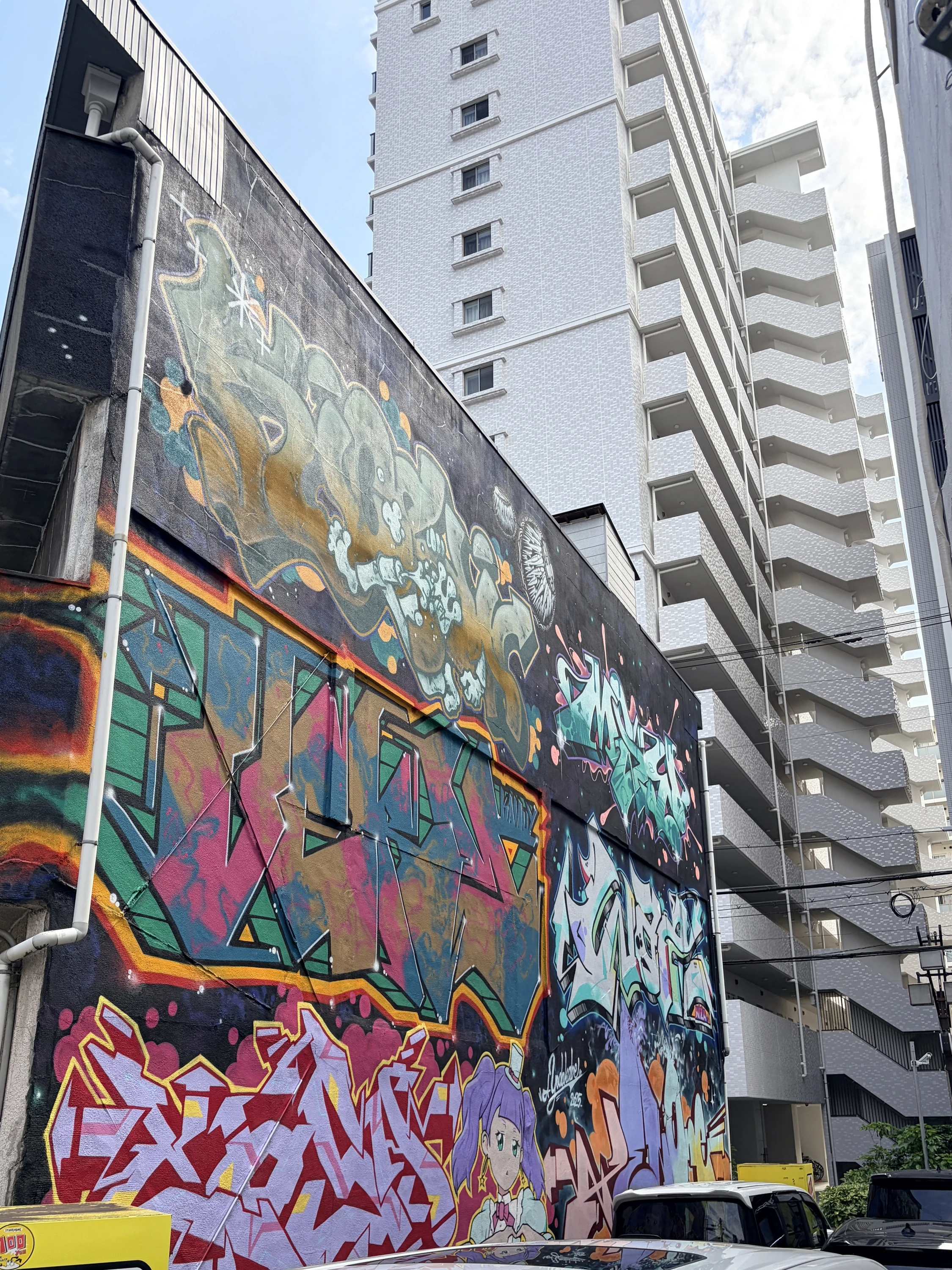 Murals on the Yodokabe Trail in Juso