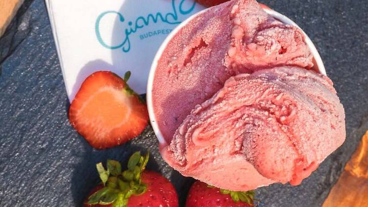 Giand贸 Gelateria & Caf茅 Giand贸 Gelateria & Caf茅