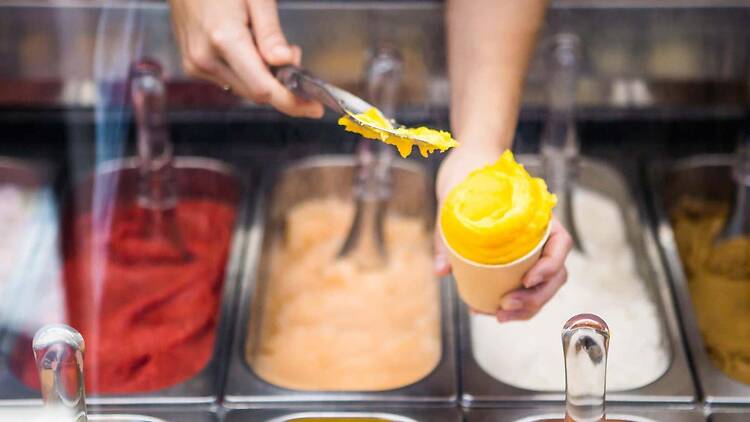 Bruno Gelateria Bruno Gelateria