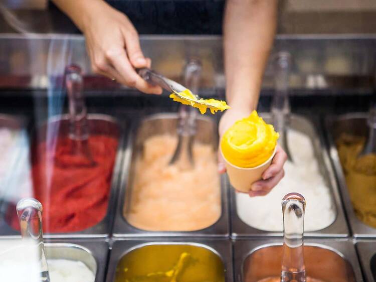 Bruno Gelateria Bruno Gelateria