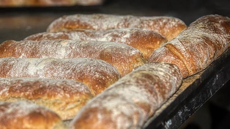 Olympia Bakery