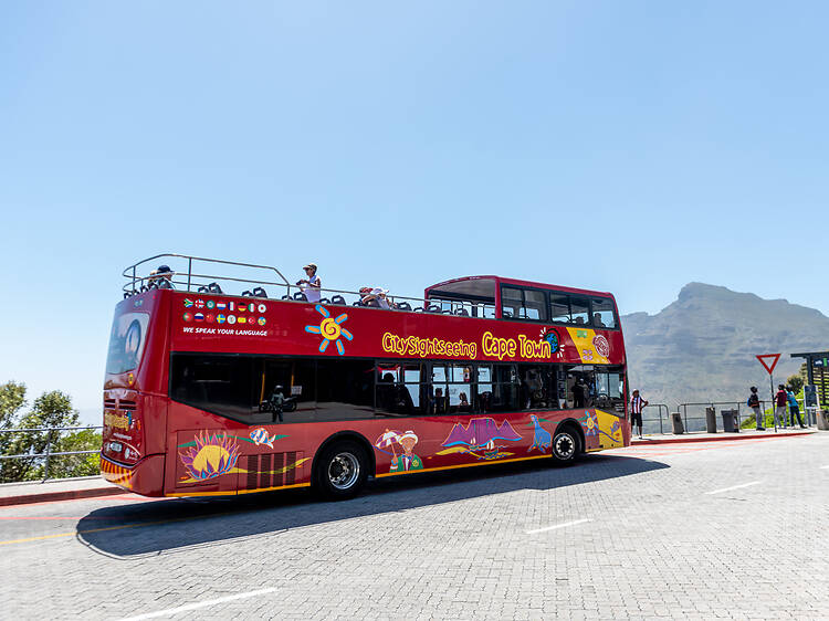 The 45 best things to do in Cape Town right now The 45 best things to do in Cape Town right now