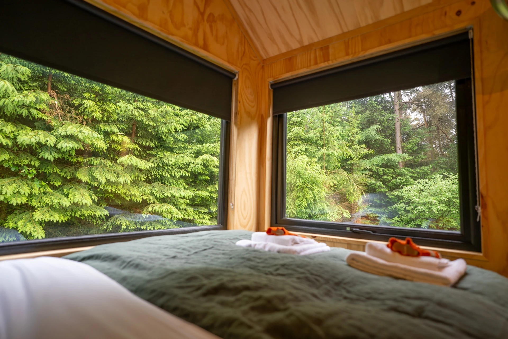 Unyoked cabin in Dalby Forest 