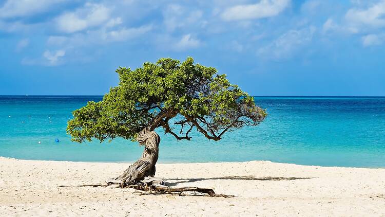 Aruba