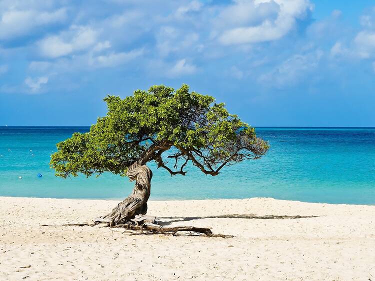 The 14 new UNESCO Biosphere reserves to visit in 2026