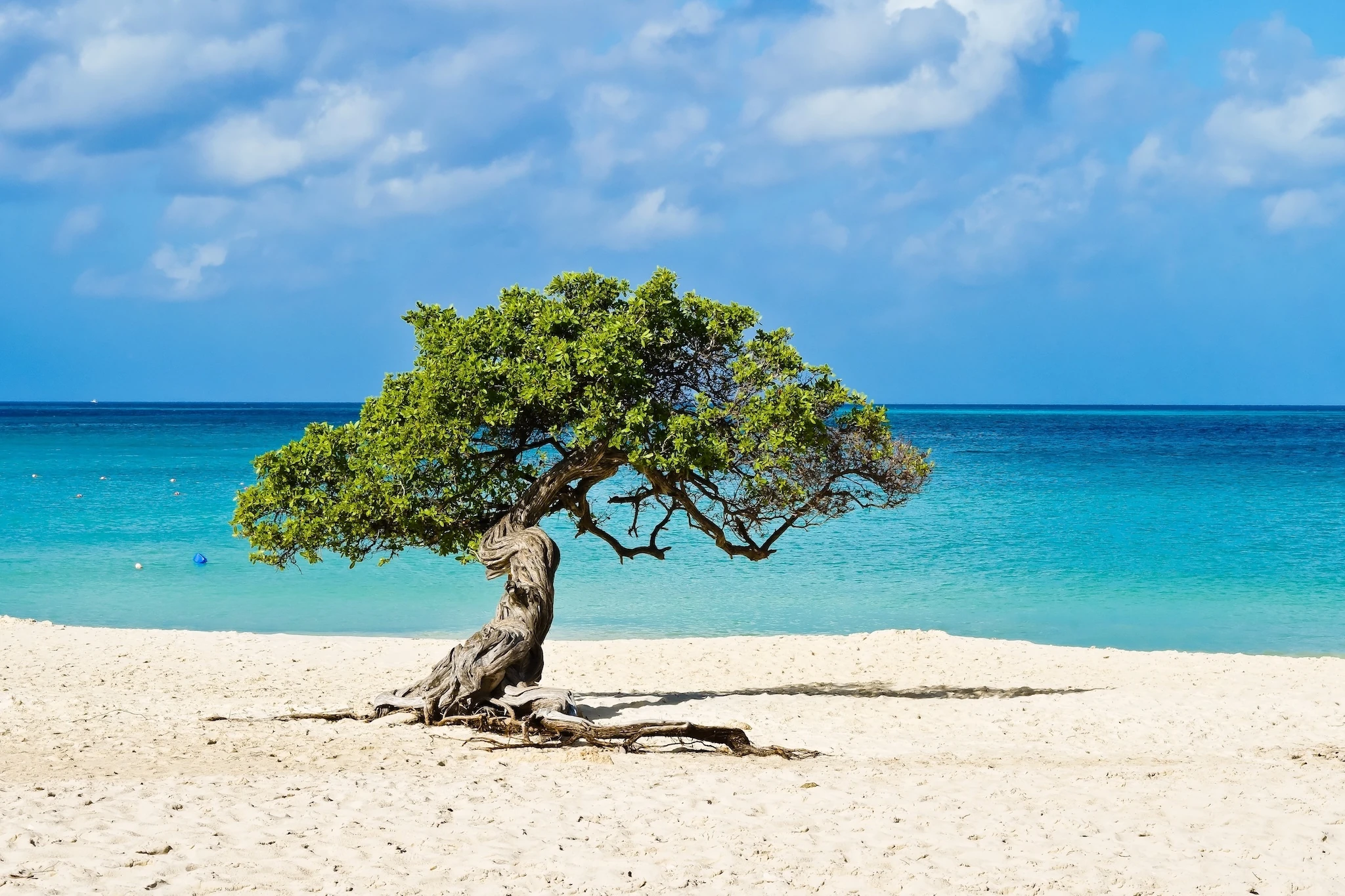 Aruba