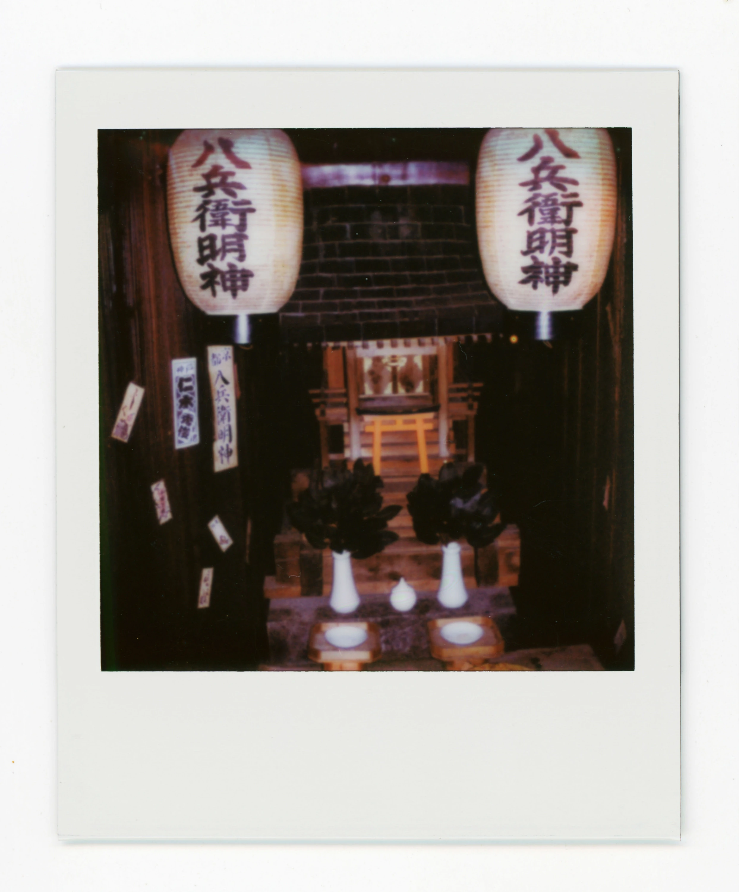 Pola