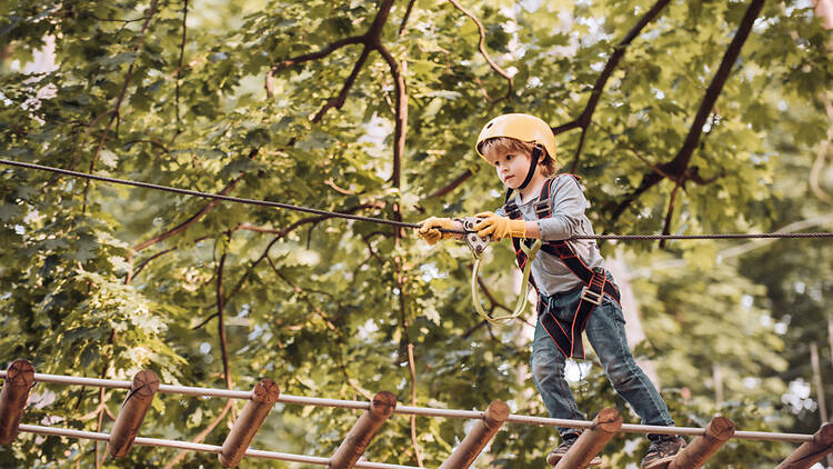 Child at a Go Ape Adventure site Child at a Go Ape Adventure site