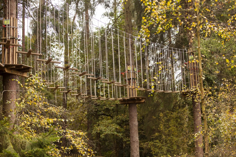 Go Ape Adventure in the Forest of Dean