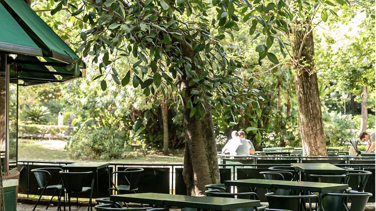 Estrela by Olivier