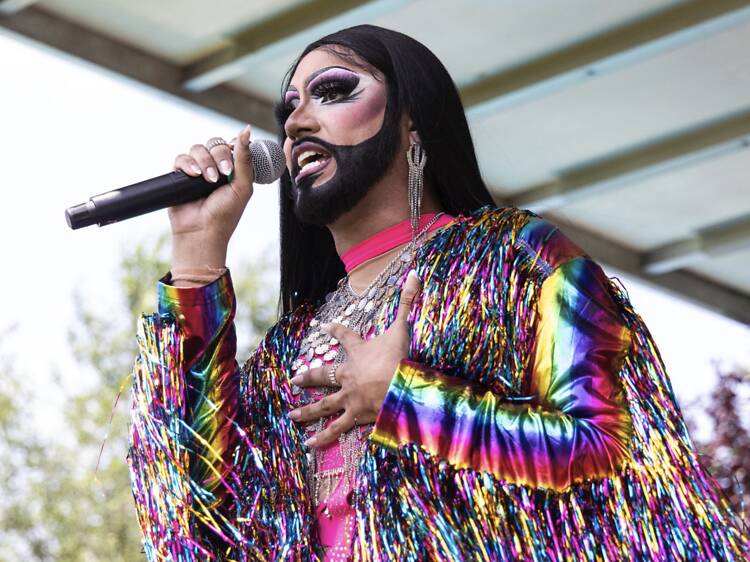 Astoria Has Pride – 4th Annual Picnic in the Park