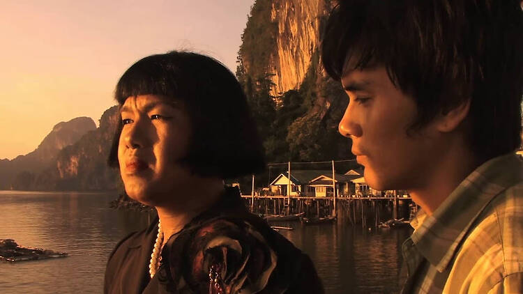 7. Insects in the Backyard (2010)