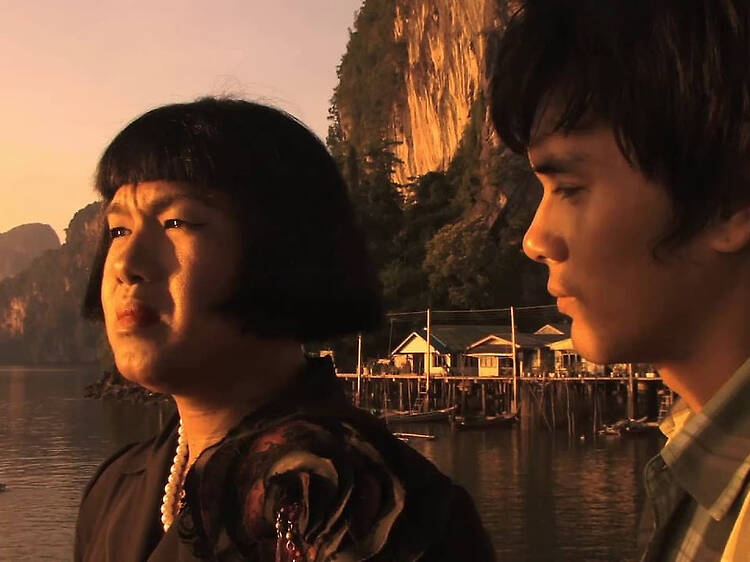 7. Insects in the Backyard (2010)
