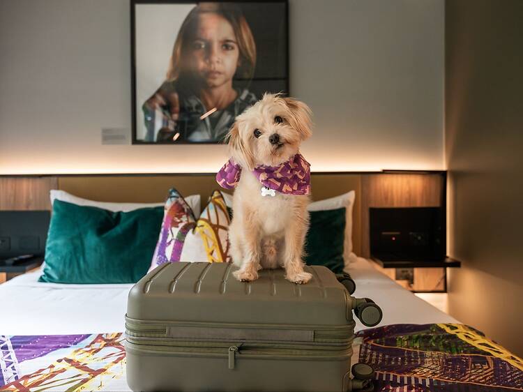 The best pet-friendly hotels in Australia The best pet-friendly hotels in Australia