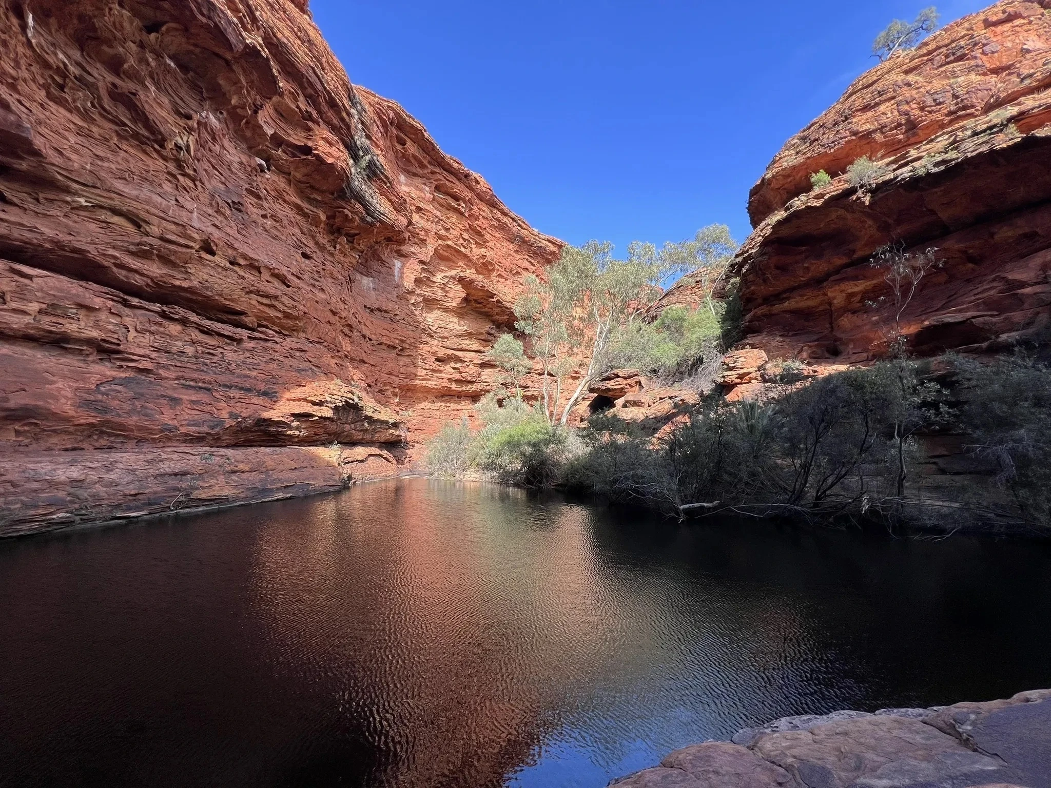 Kings Canyon Rim and Creek Walks via Cotterills Lookout