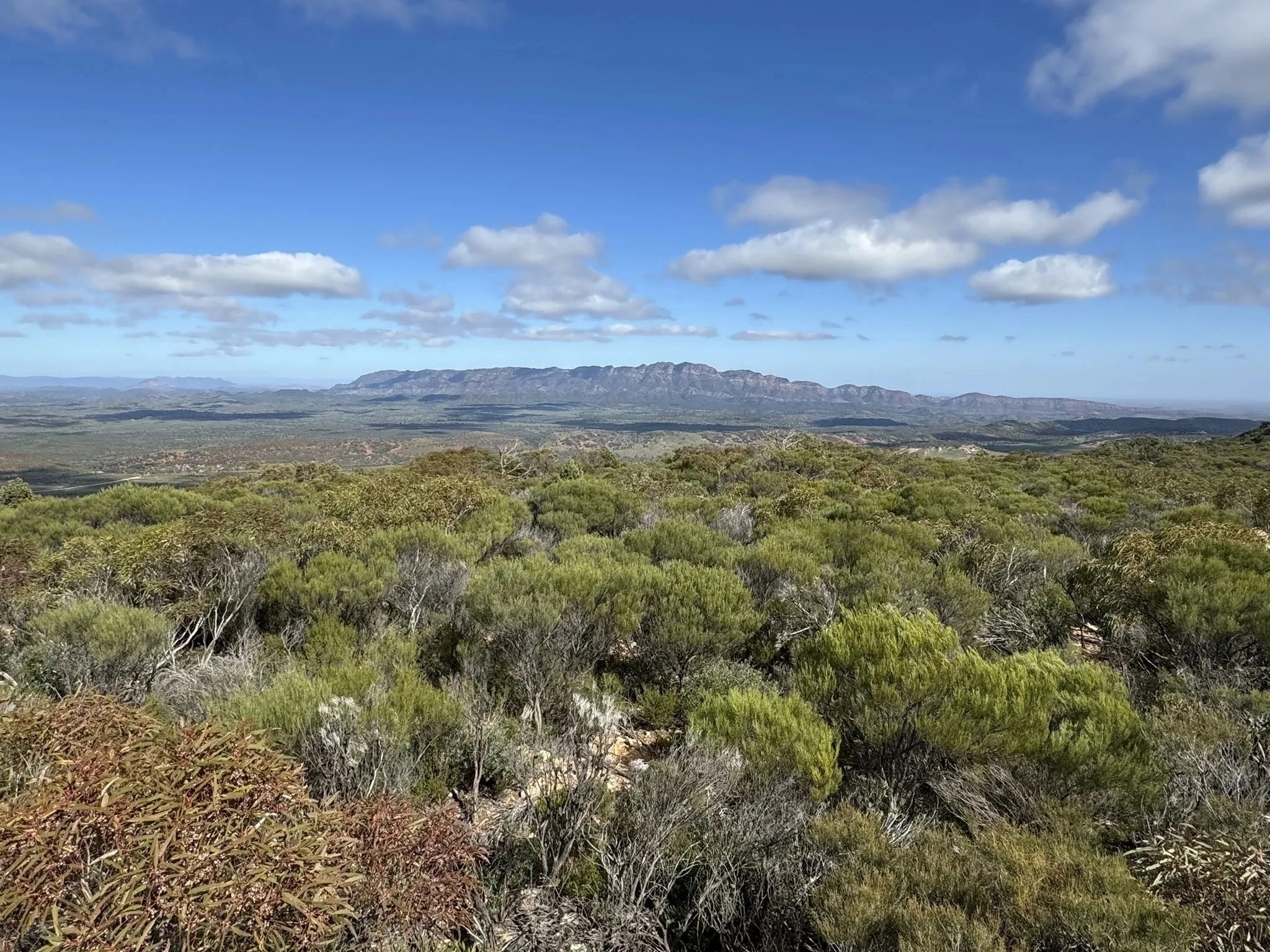 Rawnsley Bluff and Wilpena Pound Lookout