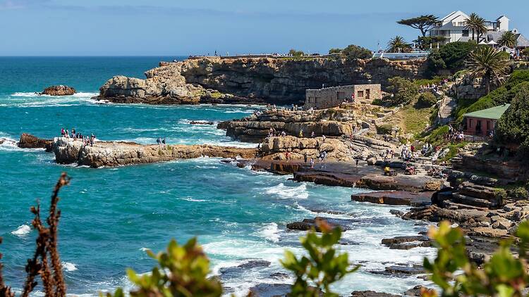 Hermanus