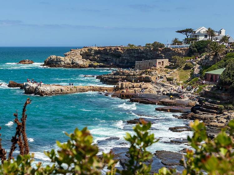 Hermanus